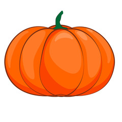 Halloween isolated pumpkin in vector. Autumn dall thanksgiving food for vegetarian. Natural seasonal plant from farm or garden.