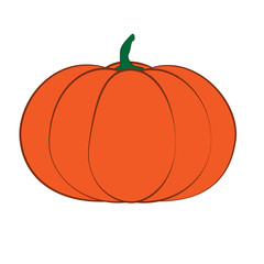 Halloween isolated pumpkin in vector. Autumn dall thanksgiving food for vegetarian. Natural seasonal plant from farm or garden.