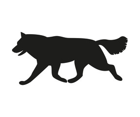 Silhouette of the dog on the white background.