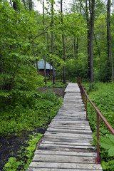 the path leading to the house in the woods