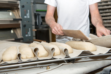 baker prepares bread dough, close up on his hands