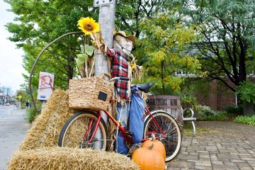 Beautiful autumn theme with red bicycle, orange pumpkins, yellow hay, scarecrow and colourful sunflower