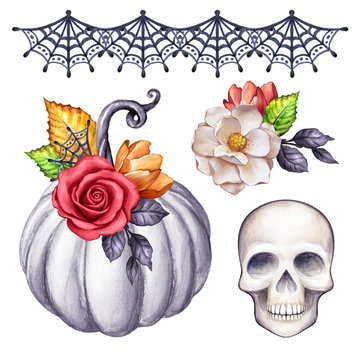 watercolor Halloween illustration, thanksgiving set, floral pumpkin, skull, autumn design elements, fall, holiday clip art isolated on white background