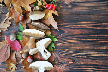 Jesienne tło z grzybami