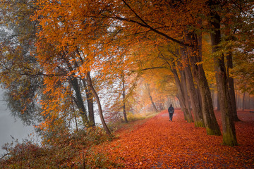 Naklejka premium Herbst im Donautal