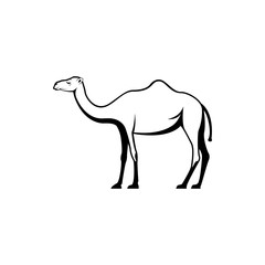 Vector camel silhouette view side for retro logos, emblems, badges, labels template vintage design element. Isolated on white background