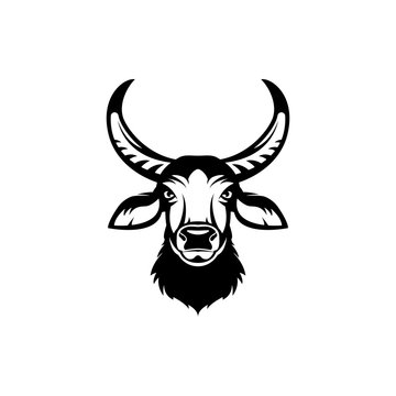 Vector asiatic buffalo head, face  for retro hipster logos, emblems, badges, labels template and t-shirt vintage design element. Isolated on white background
