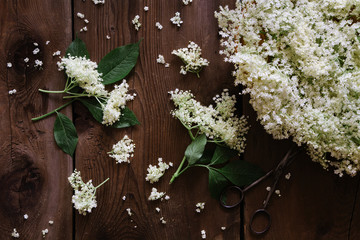 Freshly picked elderflower on wooden table
