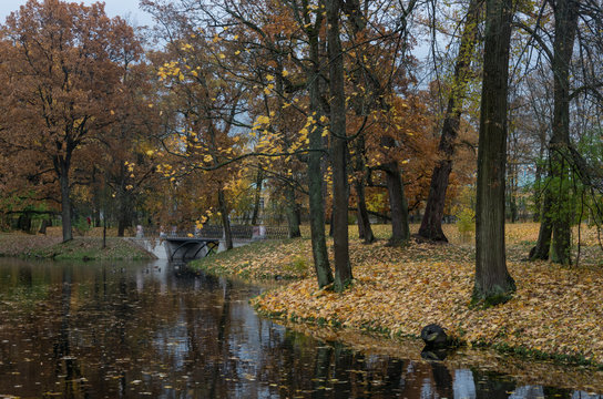 Golden autumn with colorful leaves. Pond in Alexander Park in Pushkin City, suburb of St.Petersburg, Russia.