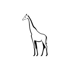 Vector giraffe silhouette view side for retro logos, emblems, badges, labels template vintage design element. Isolated on white background