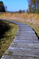 Holzlatten als Gehweg über einem Feuchtgebiet, Sumpfgebiet in Bayern, Moorlandschaft mit gebogenem Holzsteg