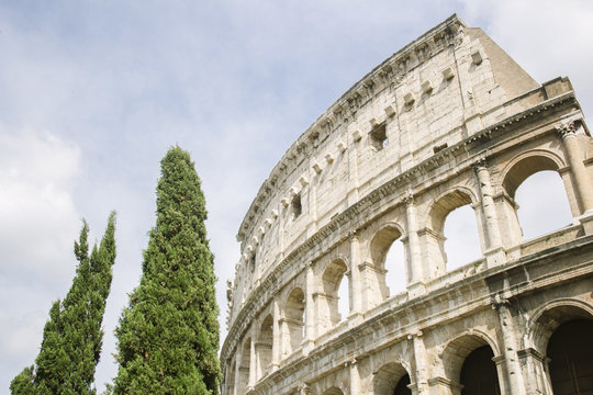 View of Colosseum with trees, Rome Italy