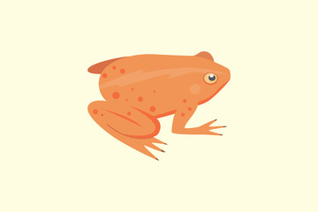 Frog Cartoon Vector Illustration isolated. tropical animal