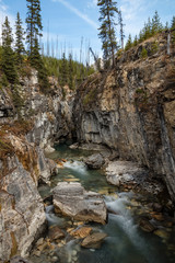 Portrait of Tokuum Creek in the Canadian Rockies