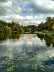 Golden autumn scene in a park, with falling leaves, the sun shining through the trees and blue sky