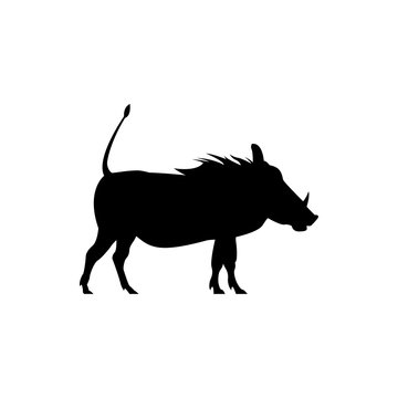 Vector warthog silhouette view side for retro logos, emblems, badges, labels template vintage design element. Isolated on white background