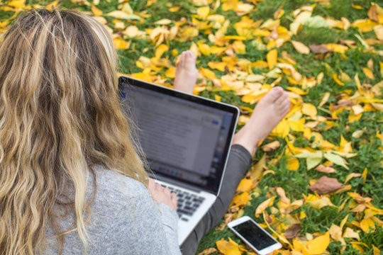 Young woman, college student dressed in gray  sweater is holding a laptop and studying outdoor with beautiful fall foliage