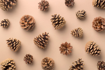 Pine cones pattern on a neutral background. Top view. Repetition