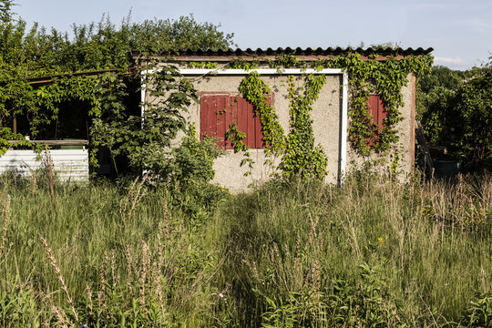 Hut in overgrown, unkempt garden
