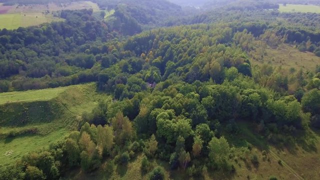 flying above green forest at autumn