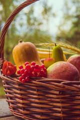 Autumn fruits and vegetables in a basket outdoor