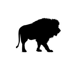 Silhouette of walking lion.
