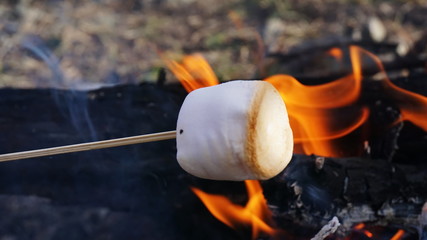 Marshmallow on a stick being roasted over a camping fire - 176883798