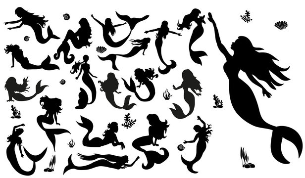 silhouette of a mermaid, collection