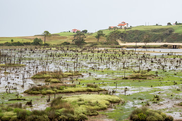 Spanien - Kantabrien - Parque Natural de Oyambre