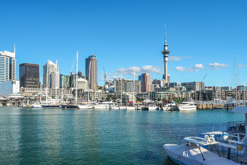 Auckland Harbor and Sky tower, the landmark in NZ. - obrazy, fototapety, plakaty