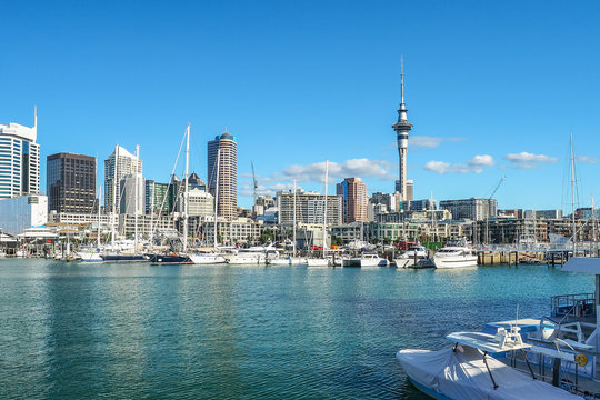 Auckland Harbor and Sky tower, the landmark in NZ.