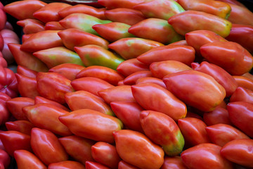 Tomatoes background, San Marzano tomato picture.