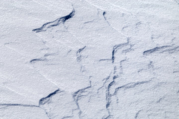 Obraz premium Image with a snowy texture