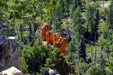 Bryce canyon landscape, USA