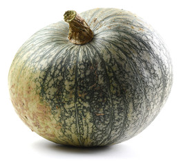 Big ripe organic green pumpkin isolated on white background