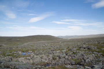 Landscape at the Nature Reserve R&aacute;isduottarh&aacute;ldi, near Guolasj&aacute;vri, Norway, summer 
