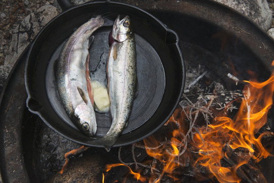 Fresh Caught Rainbow Trout Cooked Over Camp Fire