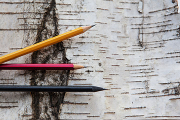 Кора дерева березы и карандаши. © elenagrigorieva