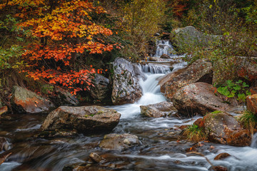 Small autumn waterfall in Krkonose - Czech Republic