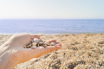 Little pebbles in a female hand on a beach background