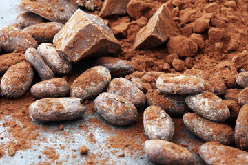 Fototapeta na wymiar Raw cocoa beans, cocoa powder and chocolate pieces.