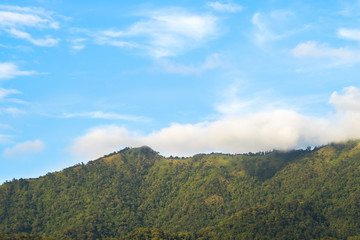 View from below, Looking to beautiful green mountain covered with white mist on the top and yellow light with blue sky and some clouds, After the rain at sunset. North of Thailand.