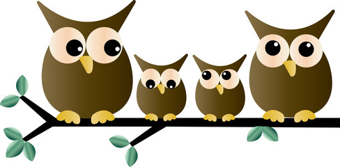 a sweet little owl family