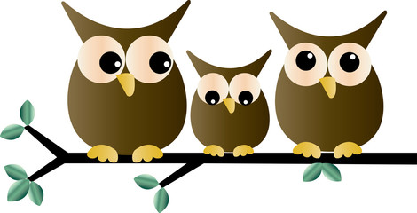 Fototapeta premium a sweet little owl family