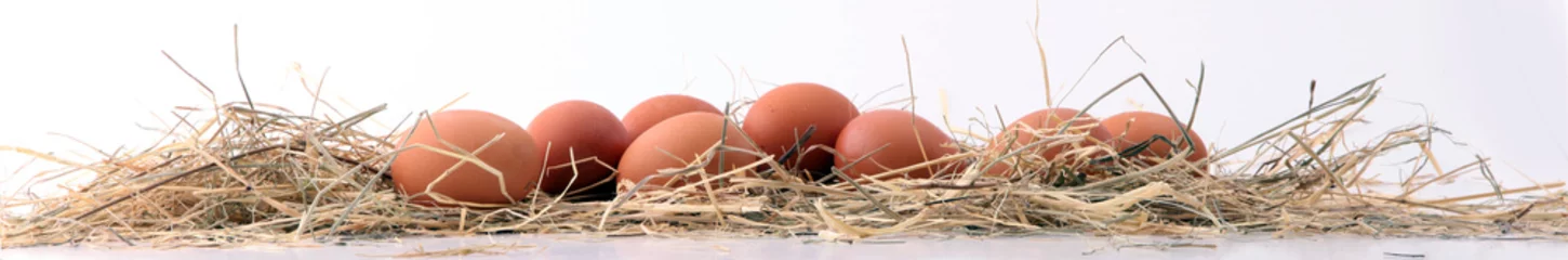 Keuken spatwand met foto Egg. Fresh farm eggs on a white background. © beats_