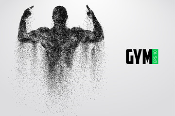 Silhouette of a bodybuilder. gym logo vector. Vector illustration