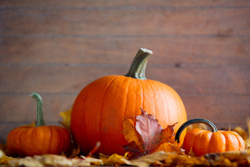 maple leaves and pumpkins on wooden table