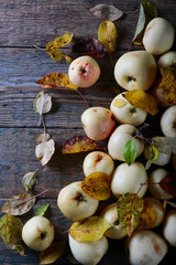 Ripe apples with fallen leaves .