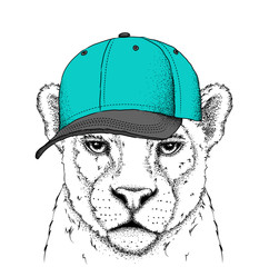 Portrait of a leopard in the cap. Can be used for printing on T-shirts, flyers and stuff. Vector illustration
