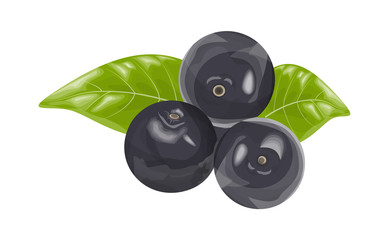 Isolated black currant